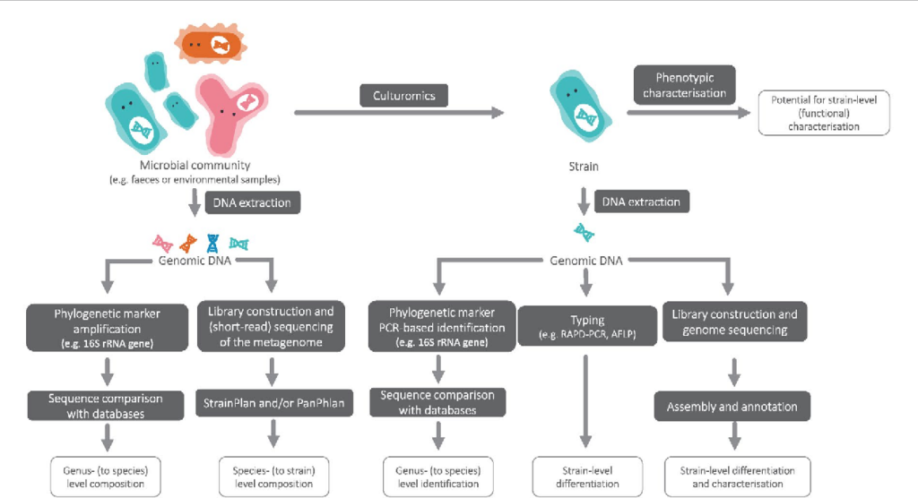 data science for bioinformatics