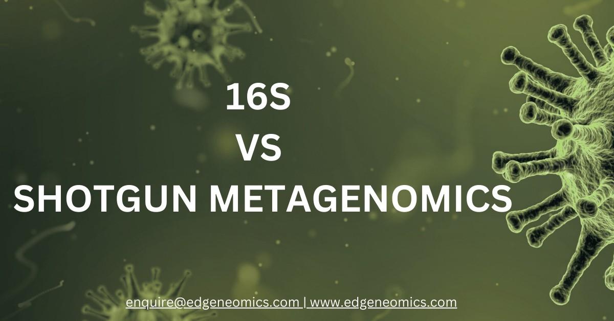 16s vs shotgun metagenomics