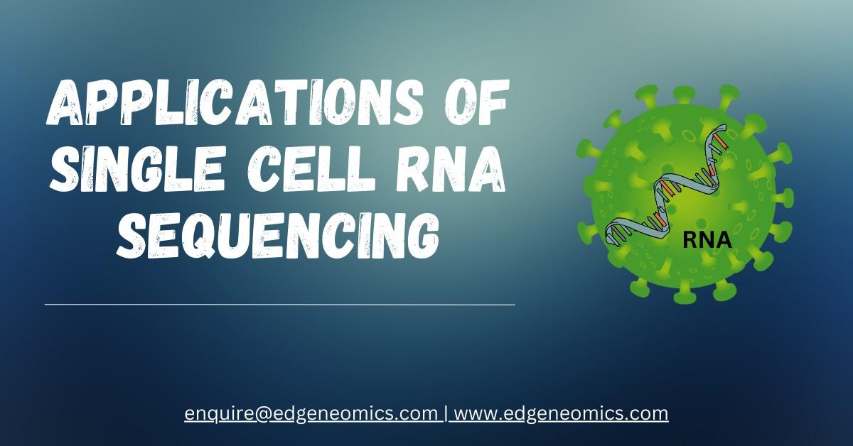 single cell rna sequencing