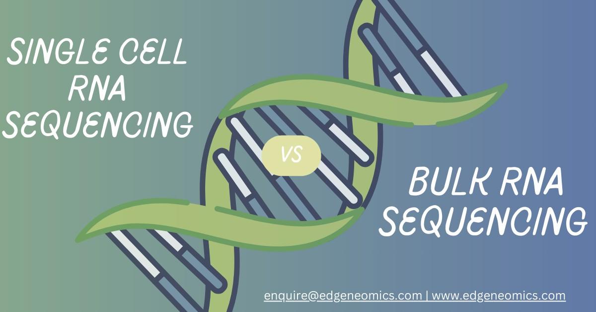 single cell rna sequencig bulk rna sequencing