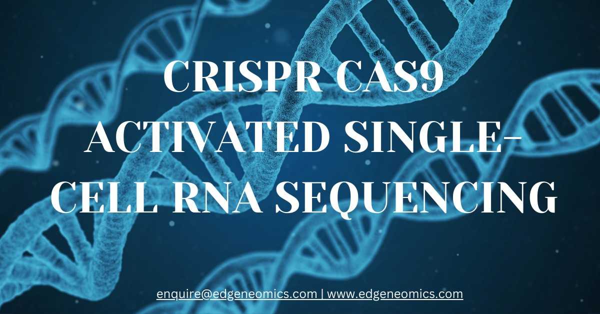 Crispr Cas9