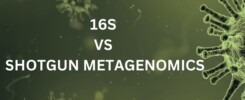 16s shotgun metagenomics