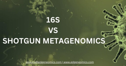 16s shotgun metagenomics