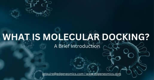 What is Molecular Docking