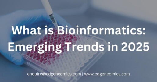 what is bioinformatics